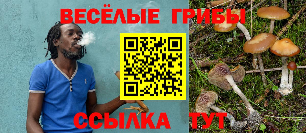 Кушва  Псилоцибиновые грибы ЛСД  Вход с VPN  Псилоцибиновые грибы мицелий 